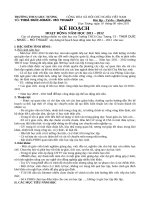 Kế hoạch tổ thể dục nhạc hoạ mỹ thuật 