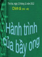Tuần 13. Nghe-viết: Hành trình của bầy ong