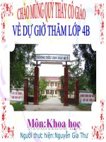 Bài 20. Nước có những tính chất gì?