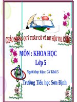 Bài 59. Sự sinh sản của thú