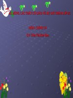 Tuần 15. Nghe-viết: Buôn Chư Lênh đón cô giáo