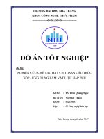 Nghiên cứu chế tạo hạt chitosan cấu trúc xốp   ứng dụng làm vật liệu hấp phụ 