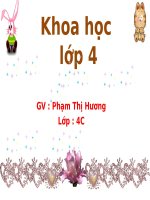 Bài 20. Nước có những tính chất gì?