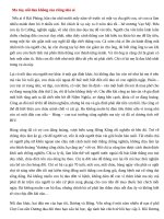 Phóng sự ma tuý 