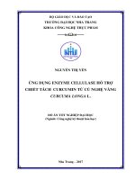Ứng dụng enzyme cellulase hỗ trợ chiết tách curcumin từ củ nghệ vàng curcuma longa l  