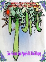 Bài 89. iêp, ươp