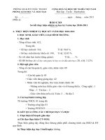 Báo cáo sơ kết học kì 1 trường THCS 