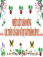 Tuần 12. Anh hùng biển cả