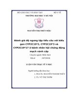 Đánh giá độ ngưng tập tiểu cầu với kiểu gen CYP2C192, CYP2C193 và CYP2C1917 ở bệnh nhân hội chứng động mạch vành cấp 