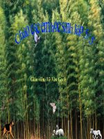 Tuần 12. Luyện tập tả người (Quan sát và chọn lọc chi tiết)