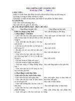 Giáo án mĩ thuật dạy theo phương pháp đan mạch mới nhất năm 2017 của bộ GD  ĐT