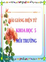Bài 62. Môi trường