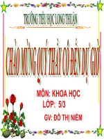 Bài 56. Sự sinh sản của côn trùng