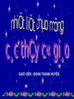 Tuần 12. Nói, viết về cảnh đẹp đất nước