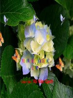 Bài 60. Sự nuôi và dạy con của một số loài thú