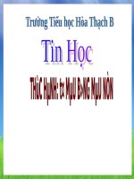 Chương IV. Bài 2. Tô màu bằng màu nền