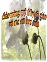 Tuần 23. Phân xử tài tình