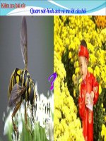 Bài 11. Tiếng hát bạn bè mình