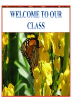 Unit 17: What toys do you like?