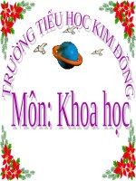 Bài 55 - 56. Ôn tập: Vật chất và năng lượng