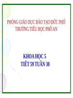 Bài 59. Sự sinh sản của thú