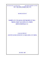 nghiên cứu ứng dụng chỉ thị phân tử dna trong chọn tạo giống lúa thơm kháng bệnh bạc lá 