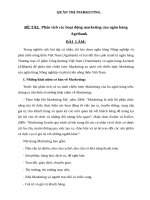 Phân tích các hoạt động marketing của ngân hàng agribank