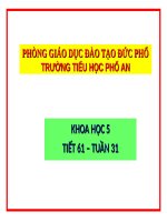 Bài 61. Ôn tập: Thực vật và động vật