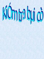 Tuần 2. Cái Bống