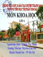 Bài 18 - 19. Ôn tập: Con người và sức khoẻ