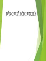 DÂN CHỦ xã hội CHỦ NGHĨA 