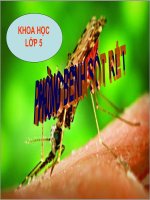 Bài 19. Phòng tránh tai nạn giao thông đường bộ