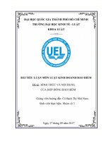 Tiểu luận về hình thức và nội dung của hợp đồng bảo hiểm