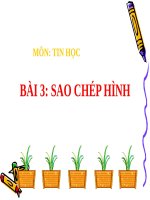 Chương II. Bài 3. Sao chép hình
