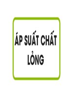 Bài 8. Áp suất chất lỏng - Bình thông nhau