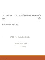 Thuyết trình môn tài chính quốc tế tác động của tổng cung tiền đối với GDP danh nghĩa 