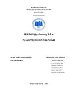 Giải bài tập chương 3 và 4 quản trị rủi ro tài chính 