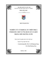 Nghiên cứu cố định Zr trên nhựa purolite C100