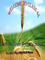 Unit 13: Favourite food and drink