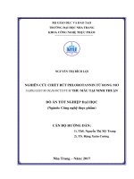 Nghiên cứu chiết rút phlorotannin từ rong mơ sagassum oligocystum thu mẫu tại ninh thuận 