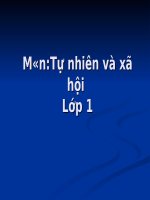 Bài 4. Bảo vệ mắt và tai