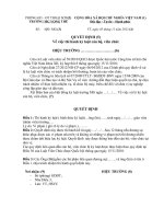 mẫu quyết định kỹ luật