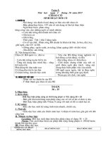 giao an theo dinh huong nang luc tuan 5    tuan 8 lop 2