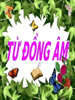 Tuần 5. Từ đồng âm