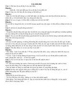 Câu hỏi thông hiểu