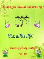 Bài 49. Ánh sáng và việc bảo vệ đôi mắt