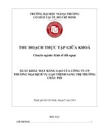 Thu hoạch thực tập XUẤT KHẨU mặt HÀNG gạo của CÔNG TY CP THƯƠNG mại DỊCH vụ gạo THỊNH SANG THỊ TRƯỜNG CHÂU PHI