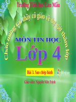 Chương II. Bài 3. Sao chép hình