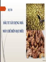 Slide Đồ án Kinh tế đầu tư