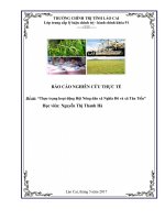 BÁO cáo NCTTtốt nghiệp TCCT.Thực trạng hoạt động Hội Nông dân xã Nghĩa Đô và xã Tân Tiến